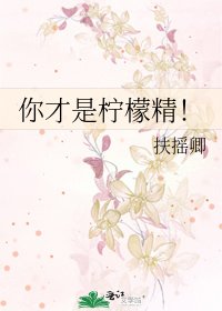 你才是柠檬精!